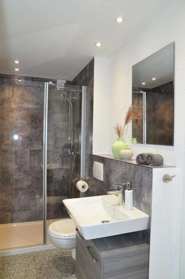 N37 -Modern Eingerichtete Zimmer In Ruhiger Lage Aldingen  Exteriér fotografie